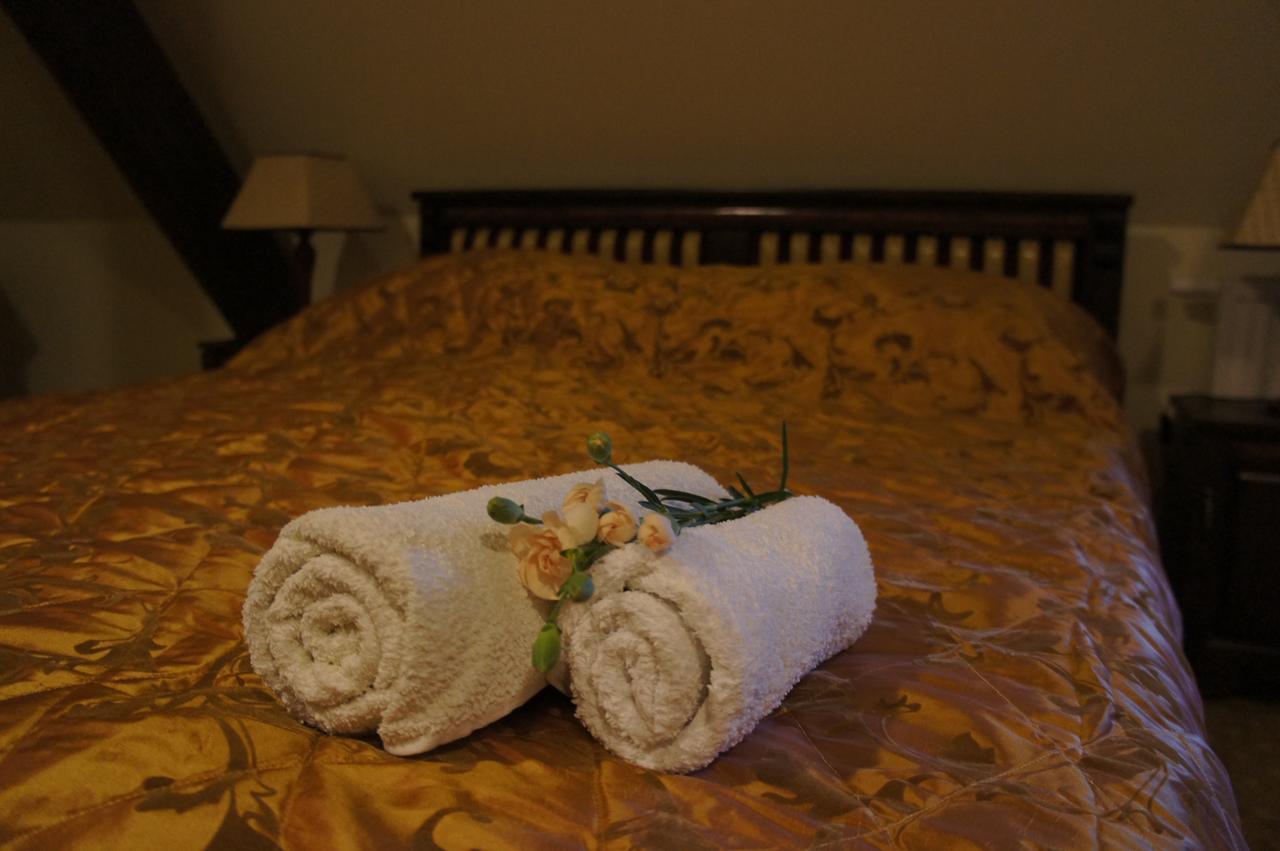 Dworska Elektrownia Hotel Kędzierzyn-Koźle Екстериор снимка